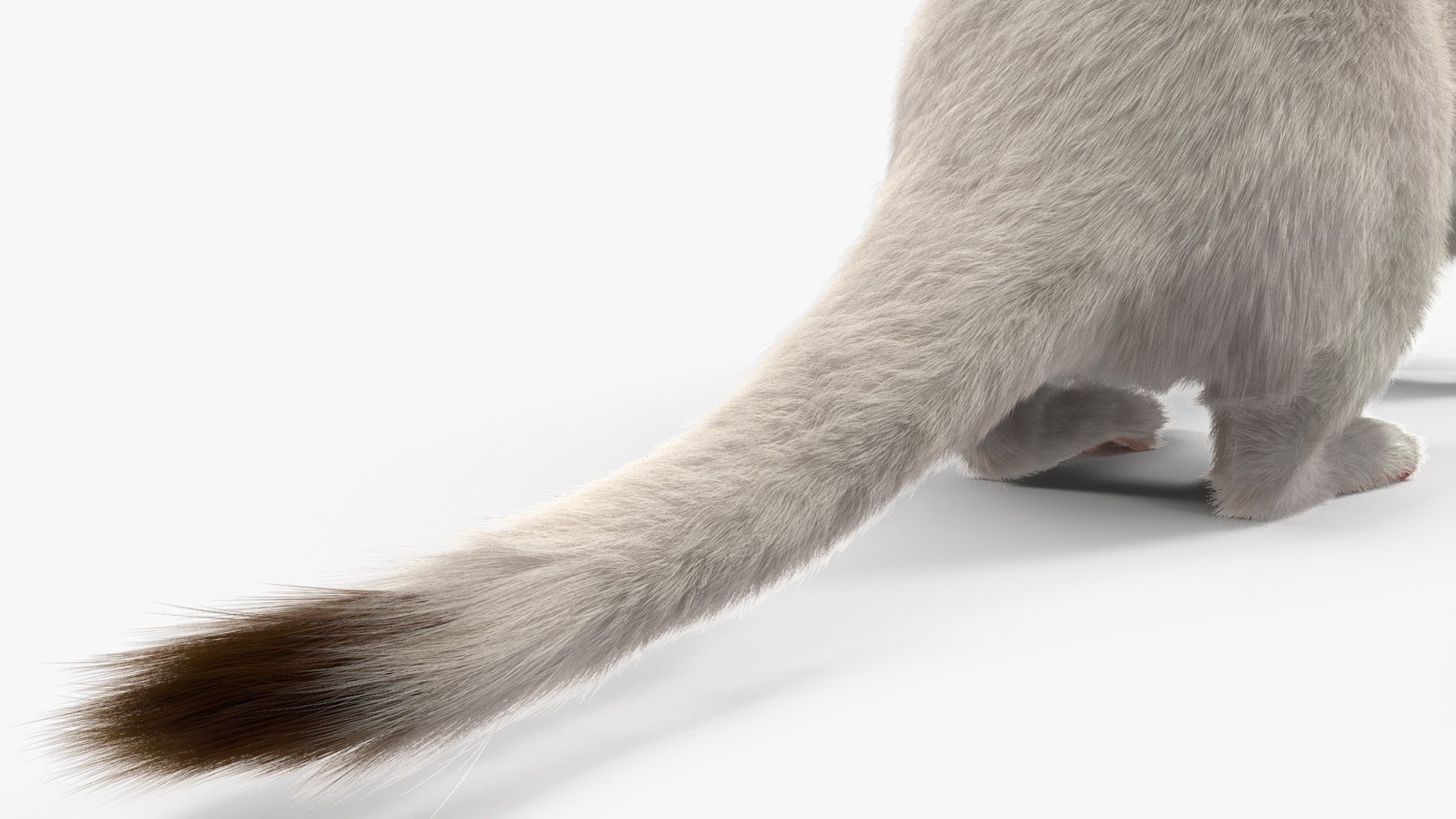 Ermine Winter Coat Fur 3D model https://p.turbosquid.com/ts-thumb/x0/XzL3fe/D6/erminewintercoatfurmb3dmodel016/jpg/1710935605/1920x1080/fit_q87/7c4ab825a3f875353df99822ea6eae3b35010d76/erminewintercoatfurmb3dmodel016.jpg