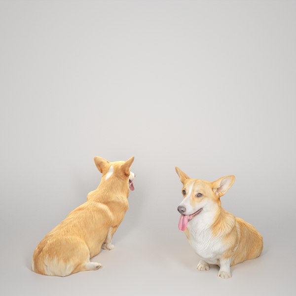 3D 2020 corgi dog animals