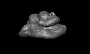 3D POOP - A PRANK FOR THE PEOPLE YOU LOVE