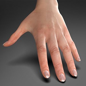 Arms with hands, Female, HighRes