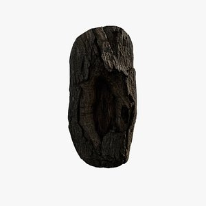 Anydrafts Acer tataricum Burl 06 3D model