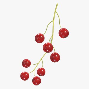 Currants Low Poly 3D model