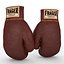Guantes de boxeo