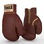 Guantes de boxeo