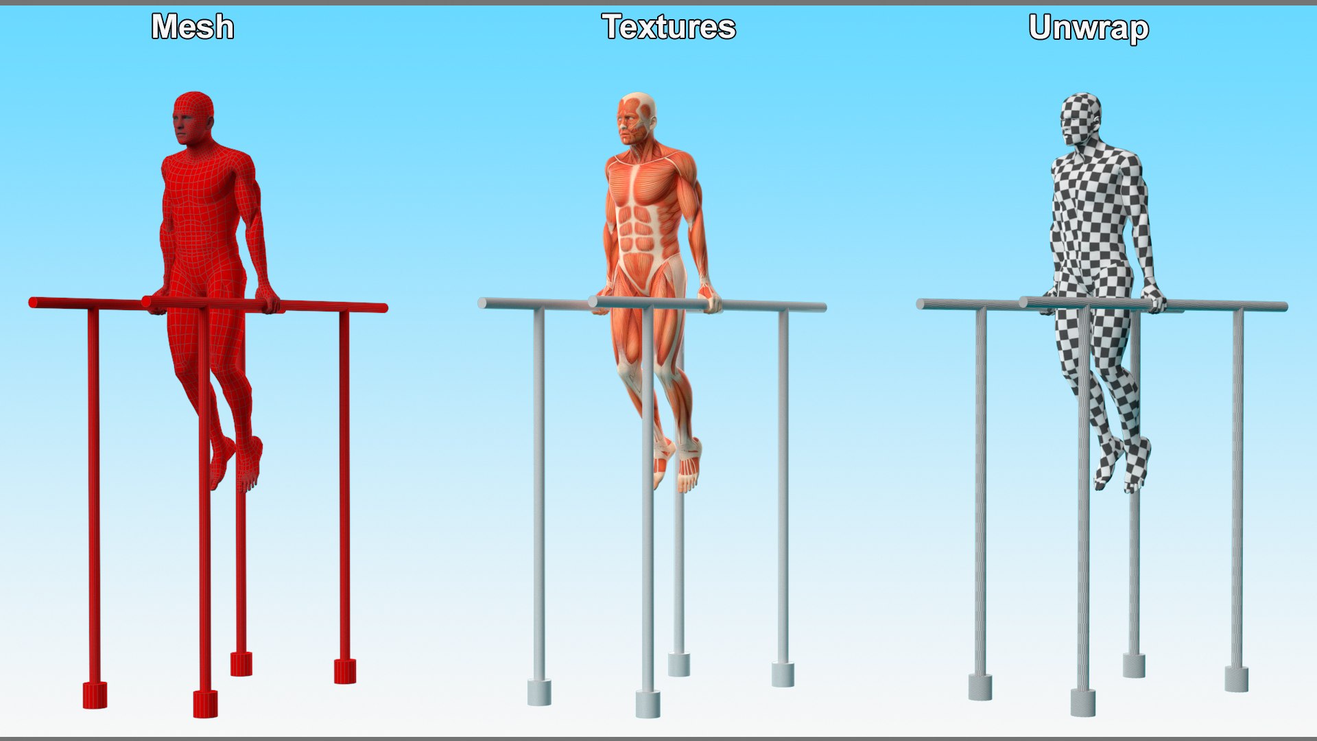 Anatomy Male Muscular System Chest Dip Animated Rigged for Maya 3D model https://p.turbosquid.com/ts-thumb/x1/3AoyY9/OK/anatomy_male_muscular_system_chest_dip_animated_rigged_012/jpg/1757279220/1920x1080/fit_q87/4f62a2712ea56134394e372295cc0f64522756cc/anatomy_male_muscular_system_chest_dip_animated_rigged_012.jpg