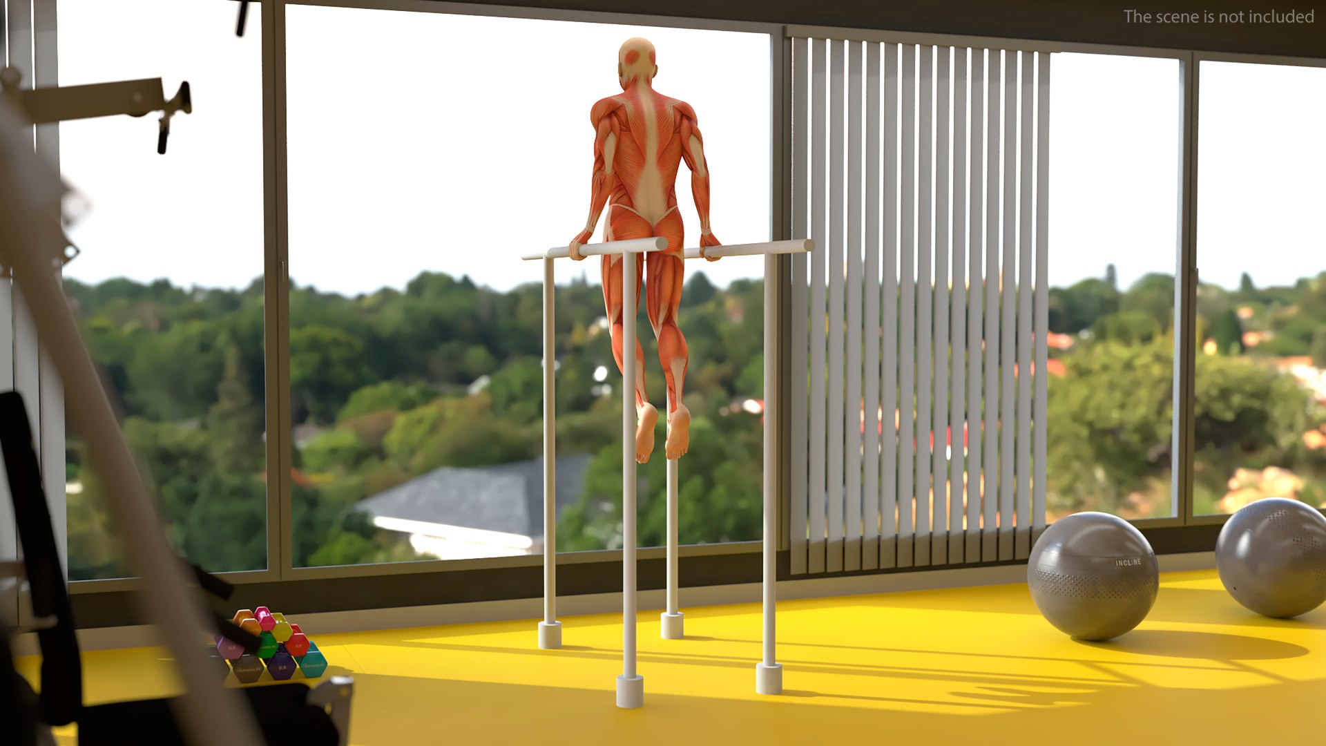 Anatomy Male Muscular System Chest Dip Animated Rigged for Maya 3D model https://p.turbosquid.com/ts-thumb/x1/3AoyY9/ty/anatomy_male_muscular_system_chest_dip_animated_rigged_004/jpg/1757279196/1920x1080/fit_q87/697a947b54bbcee5fb24a9dd191d6c2920119137/anatomy_male_muscular_system_chest_dip_animated_rigged_004.jpg