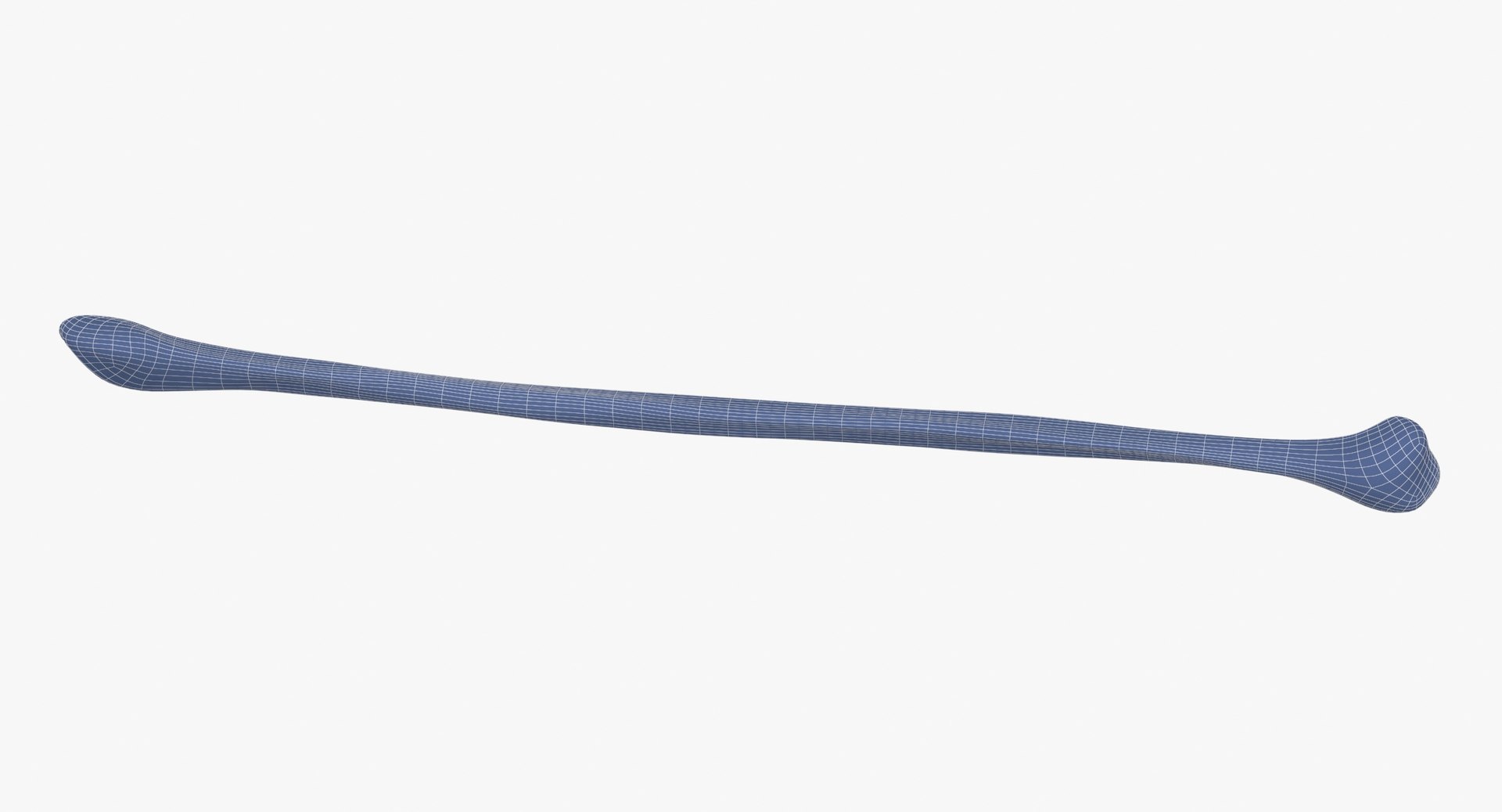 human fibula bone 01 3D model https://p.turbosquid.com/ts-thumb/x1/3QsHN3/4Kt8orDV/human_fibula_bone_01_white_wireframe_0007/jpg/1586508548/1920x1080/fit_q87/cff02a4f24126cf06b314ee607f81cb8baa85966/human_fibula_bone_01_white_wireframe_0007.jpg