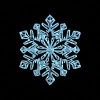 Realistic Snowflake Series 3 with 4K PBR Textures