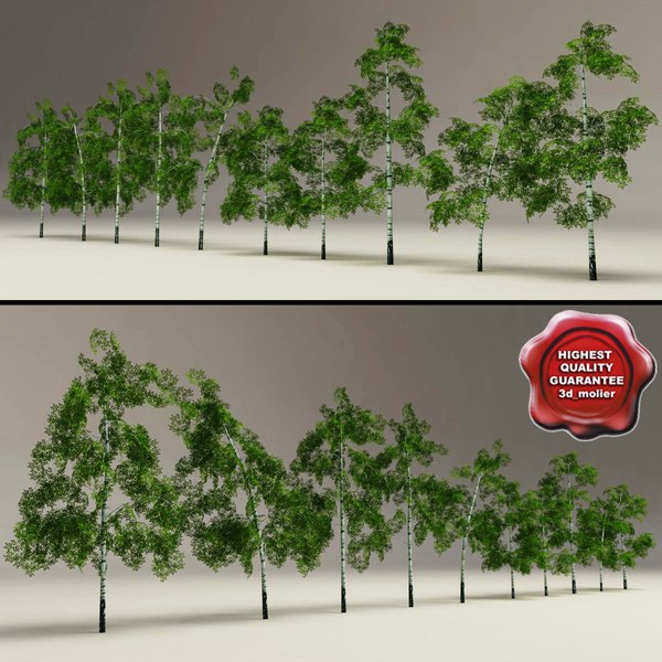 3d model low-poly birch trees v2