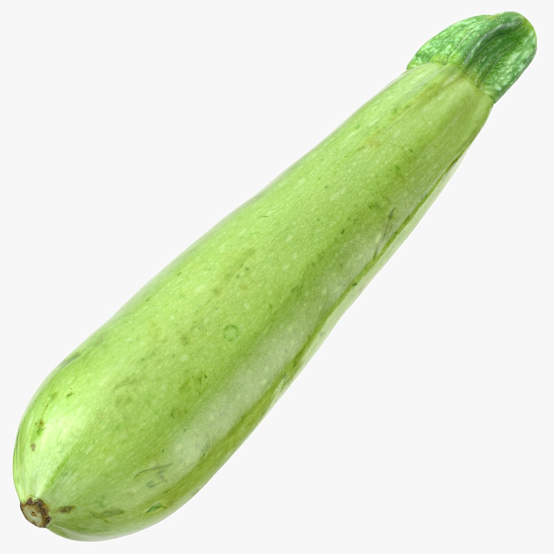 3D Model Zucchini Cousa Squash 02 - TurboSquid 1485139