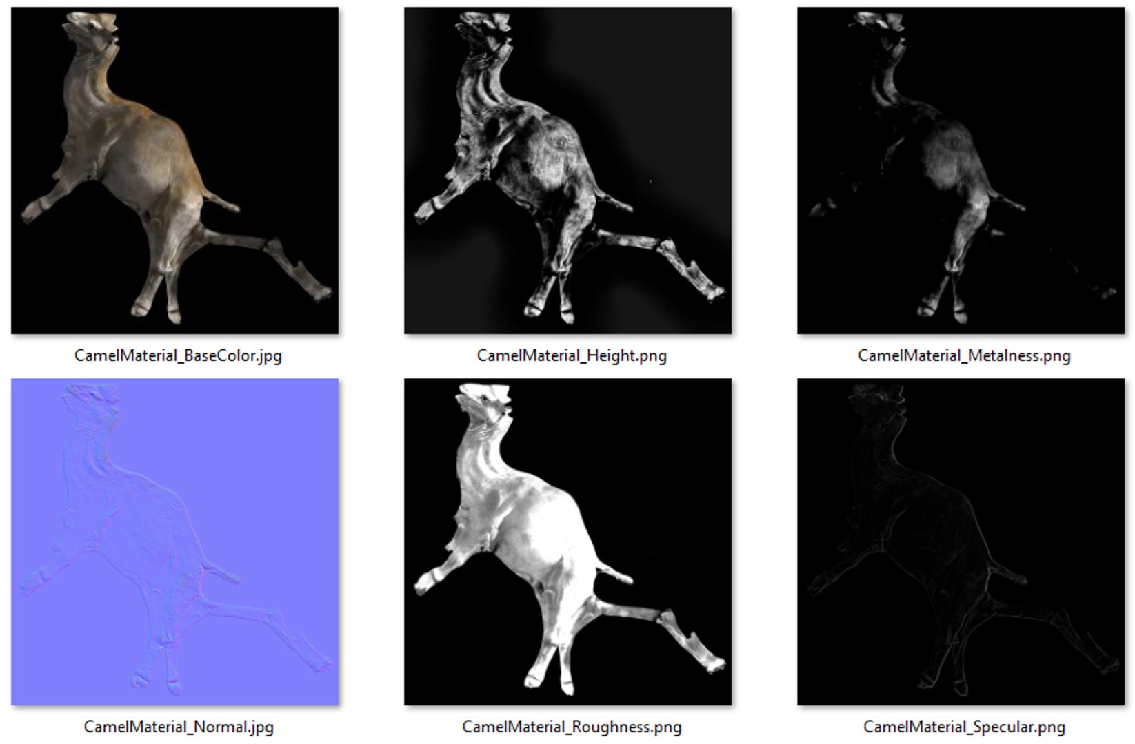3D Realistic 3D Camel Model https://p.turbosquid.com/ts-thumb/x1/GrvaRt/4q/12/png/1735777790/1920x1080/fit_q87/09d77e300ac1518414f8d4ecfe94e7c131bfc92a/12.jpg