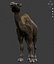 逼真的 3D 骆驼模型