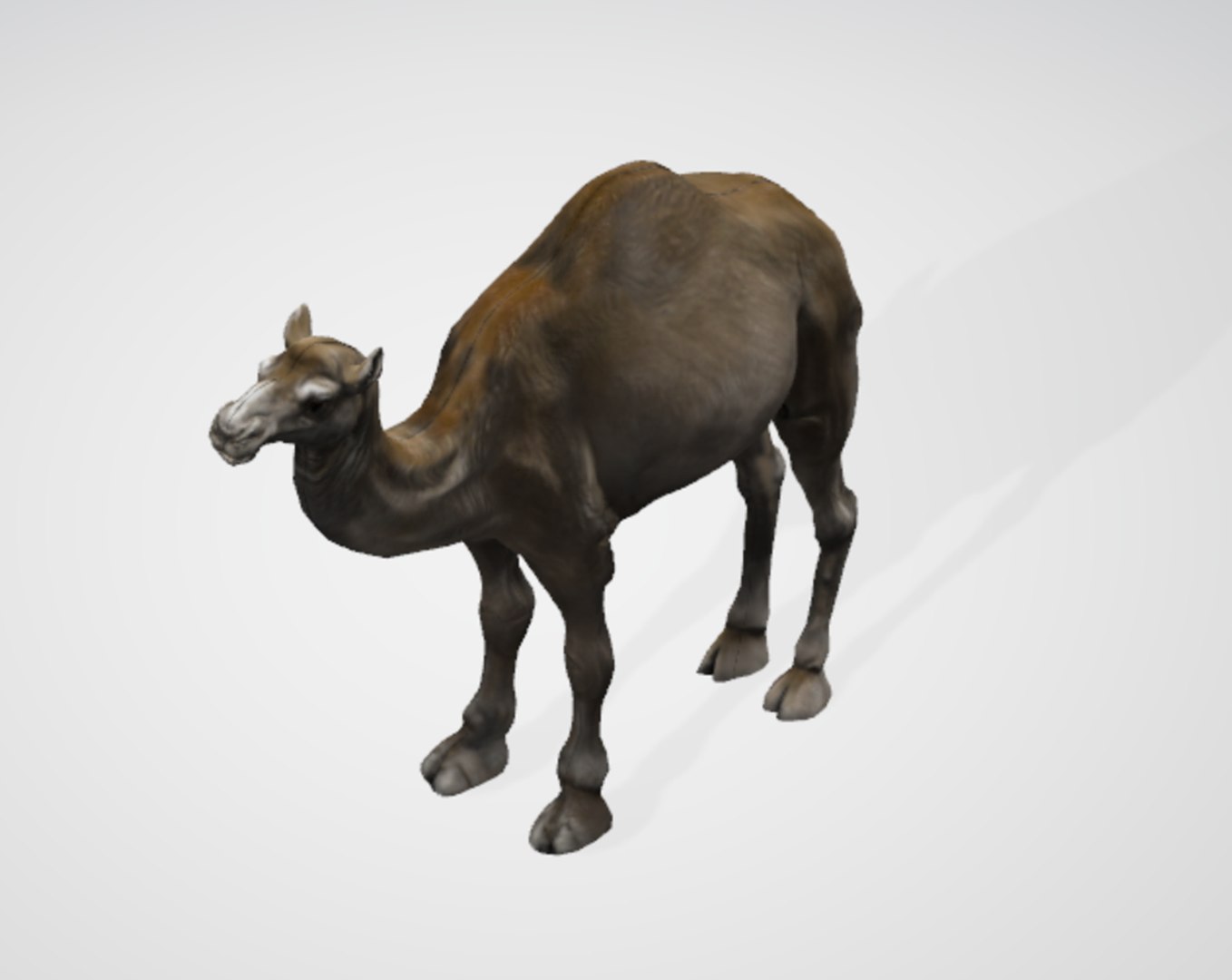 3D Realistic 3D Camel Model https://p.turbosquid.com/ts-thumb/x1/GrvaRt/Vy/20/png/1735777856/1920x1080/fit_q87/1f71995558df2e75617b5178183831b5c6c0069f/20.jpg