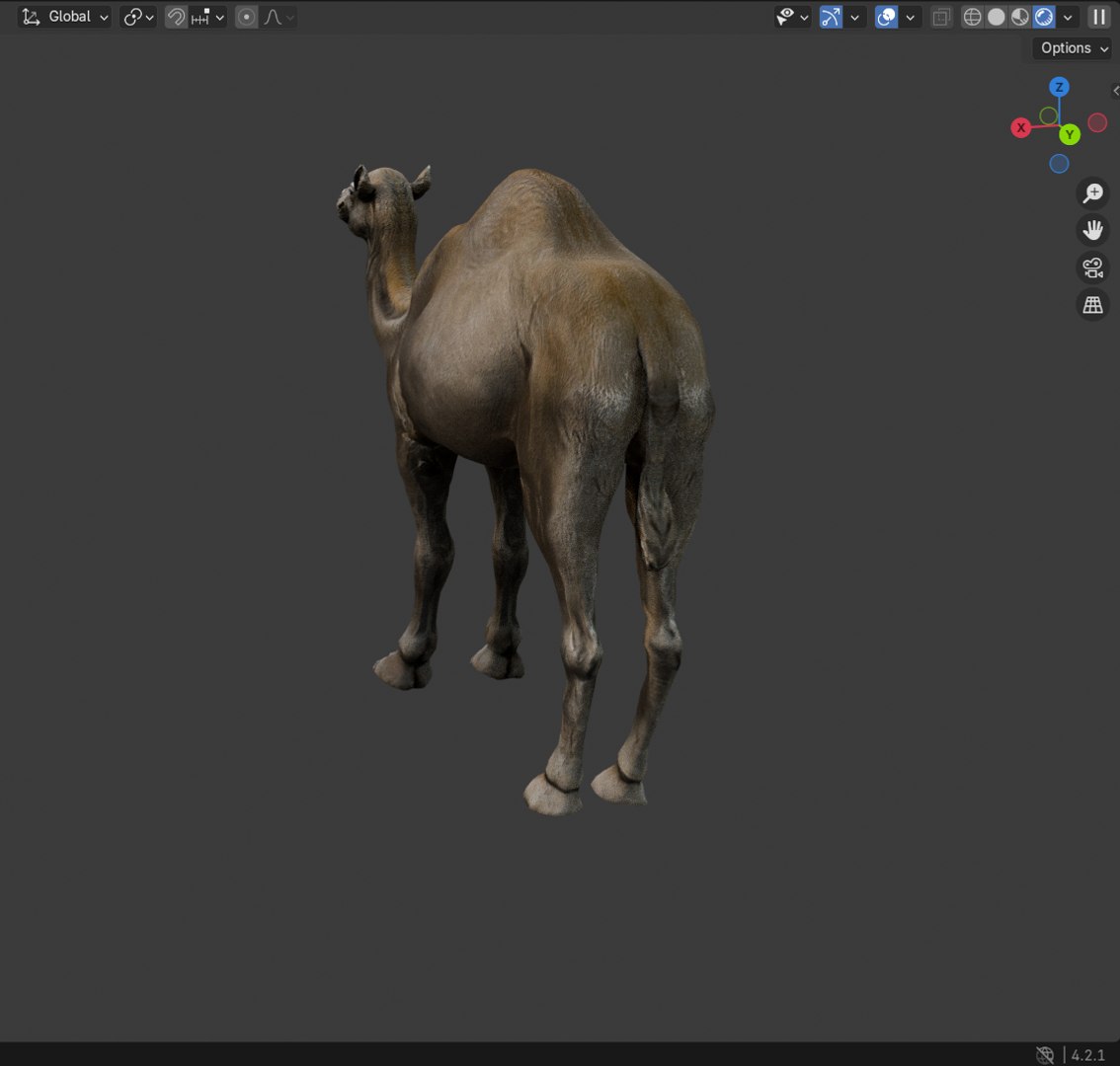 3D Realistic 3D Camel Model https://p.turbosquid.com/ts-thumb/x1/GrvaRt/na/7/png/1735777763/1920x1080/fit_q87/9b3afb8f2ef6795777d4a44429abb9777fd21672/7.jpg