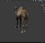逼真的 3D 骆驼模型