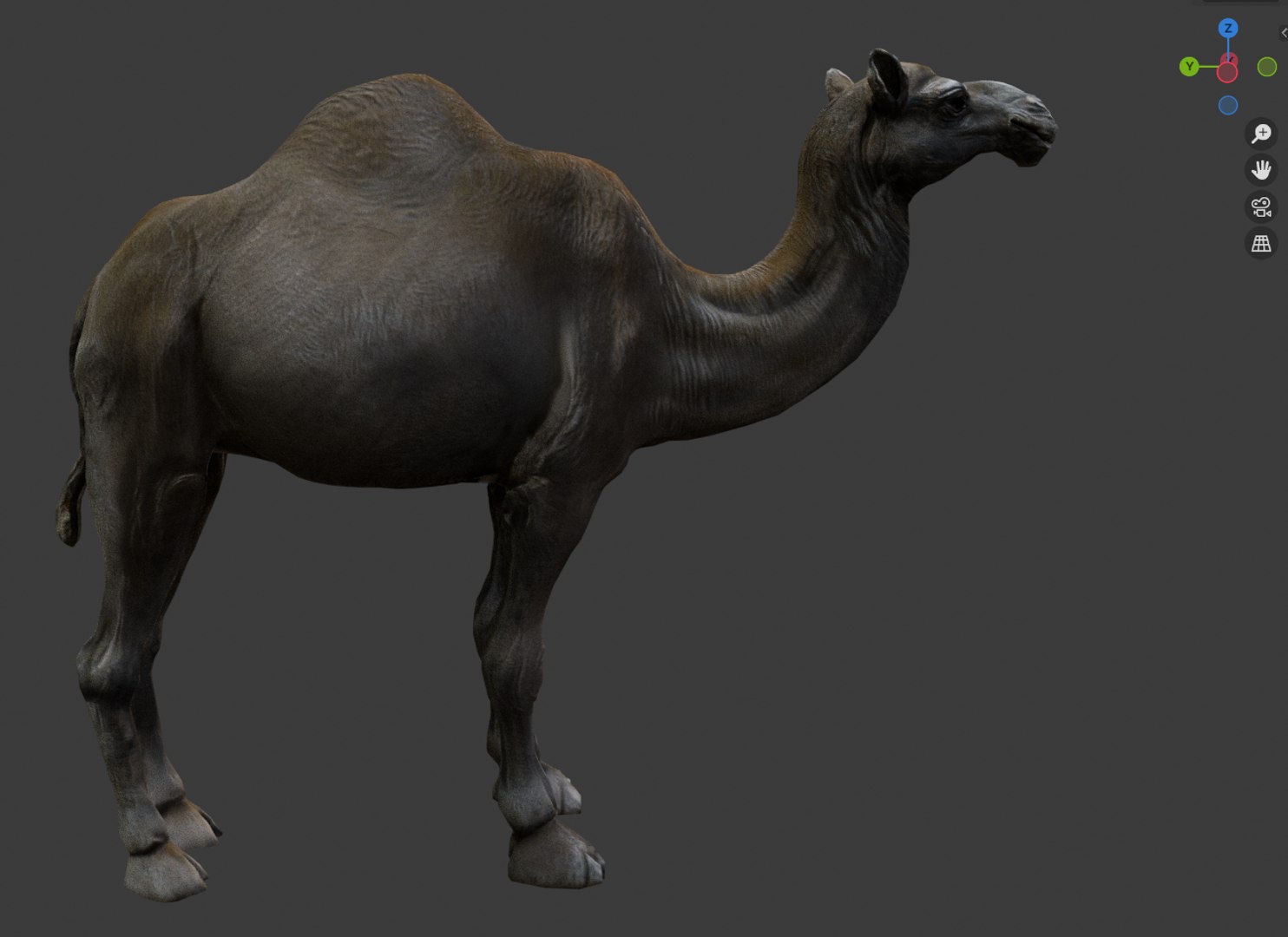 3D Realistic 3D Camel Model https://p.turbosquid.com/ts-thumb/x1/GrvaRt/zG/5/png/1735777742/1920x1080/fit_q87/20c0daba53151f87e00111720215b5e5e61e9ac1/5.jpg