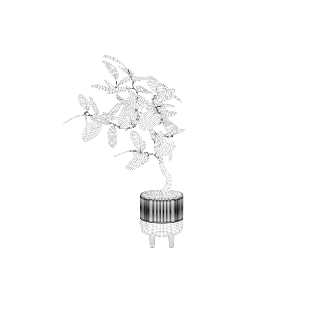 3D model Ficus benghalensis https://p.turbosquid.com/ts-thumb/x1/Phdrtu/yF/ficuswire11/jpg/1654509466/1920x1080/fit_q87/85455d7ec50f8e78f2f88bfe6520a07e65af9046/ficuswire11.jpg