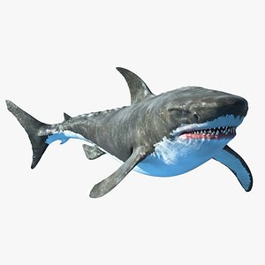 rigged megalodon shark 3D model