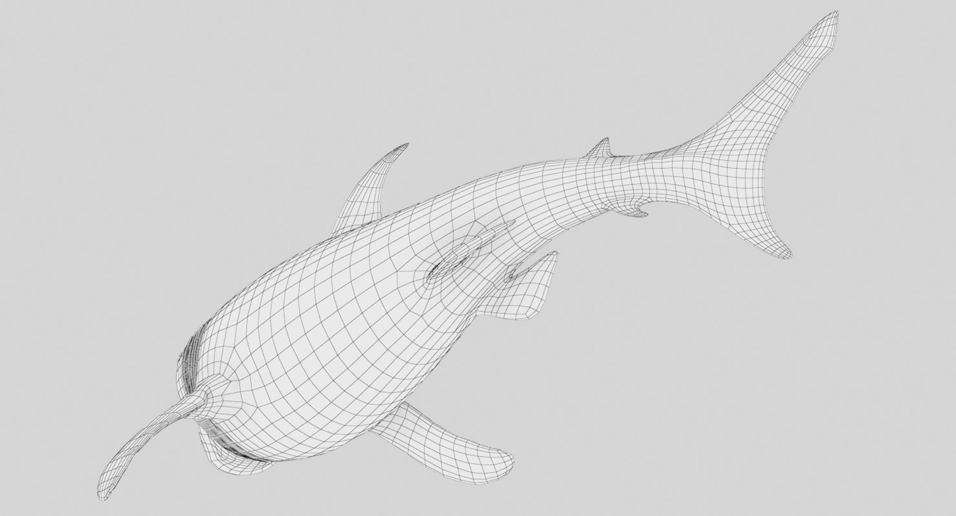 Rigged Megalodon Shark 3D Model - TurboSquid 1348393