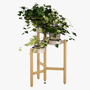 ikea satsumas flower 3d max
