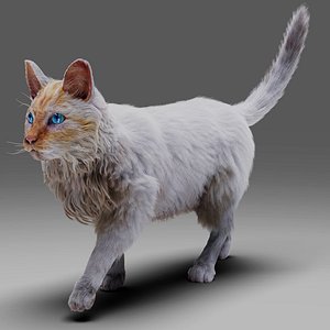 Fur Cat White Rigged and Animated