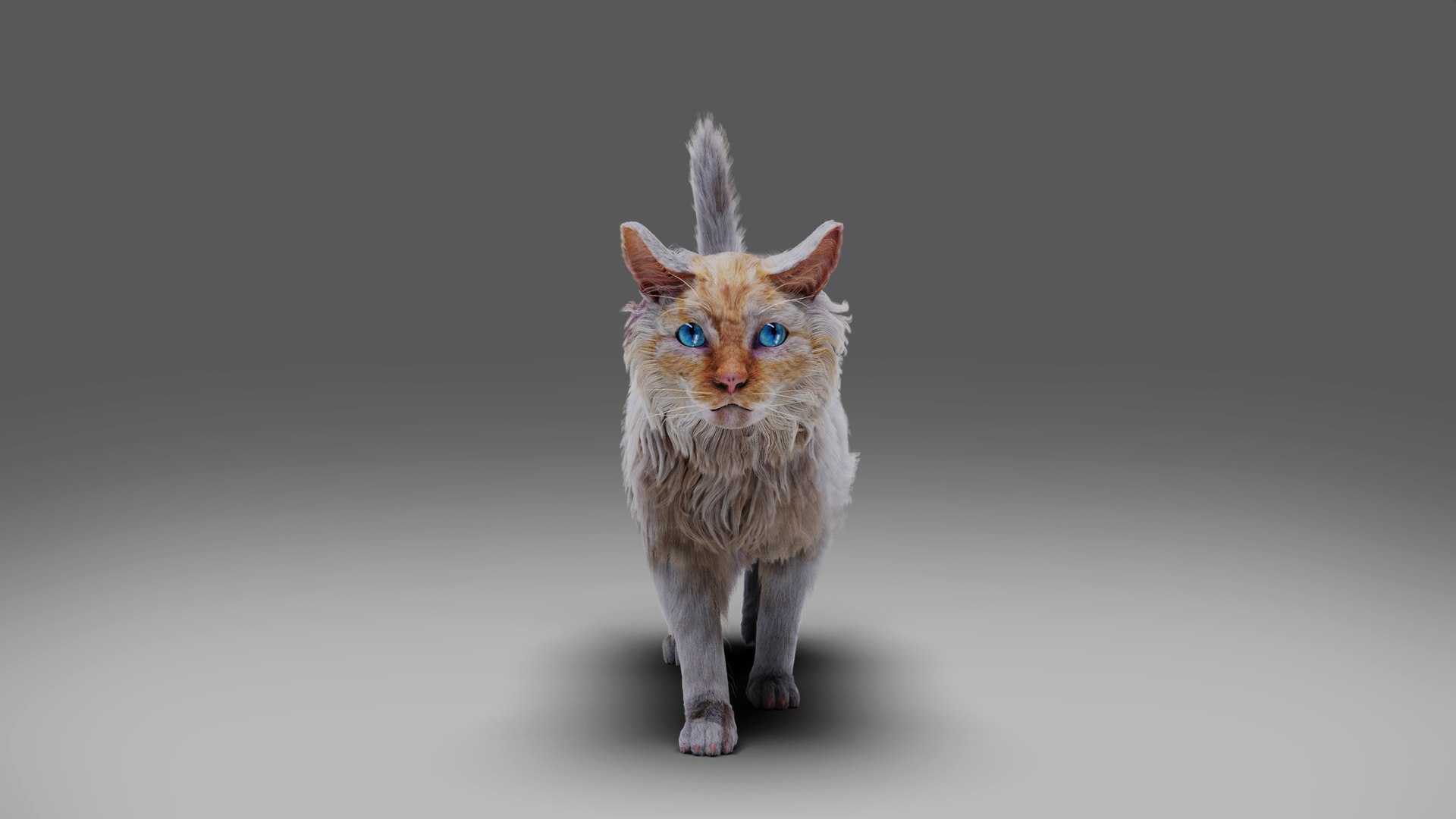 3D Fur Cat White Rigged and Animated https://p.turbosquid.com/ts-thumb/x1/WKXFUy/HH/06/jpg/1667307306/1920x1080/fit_q87/710c1e5c569eeb96a0d0ff33bb301bb0e8278ad6/06.jpg