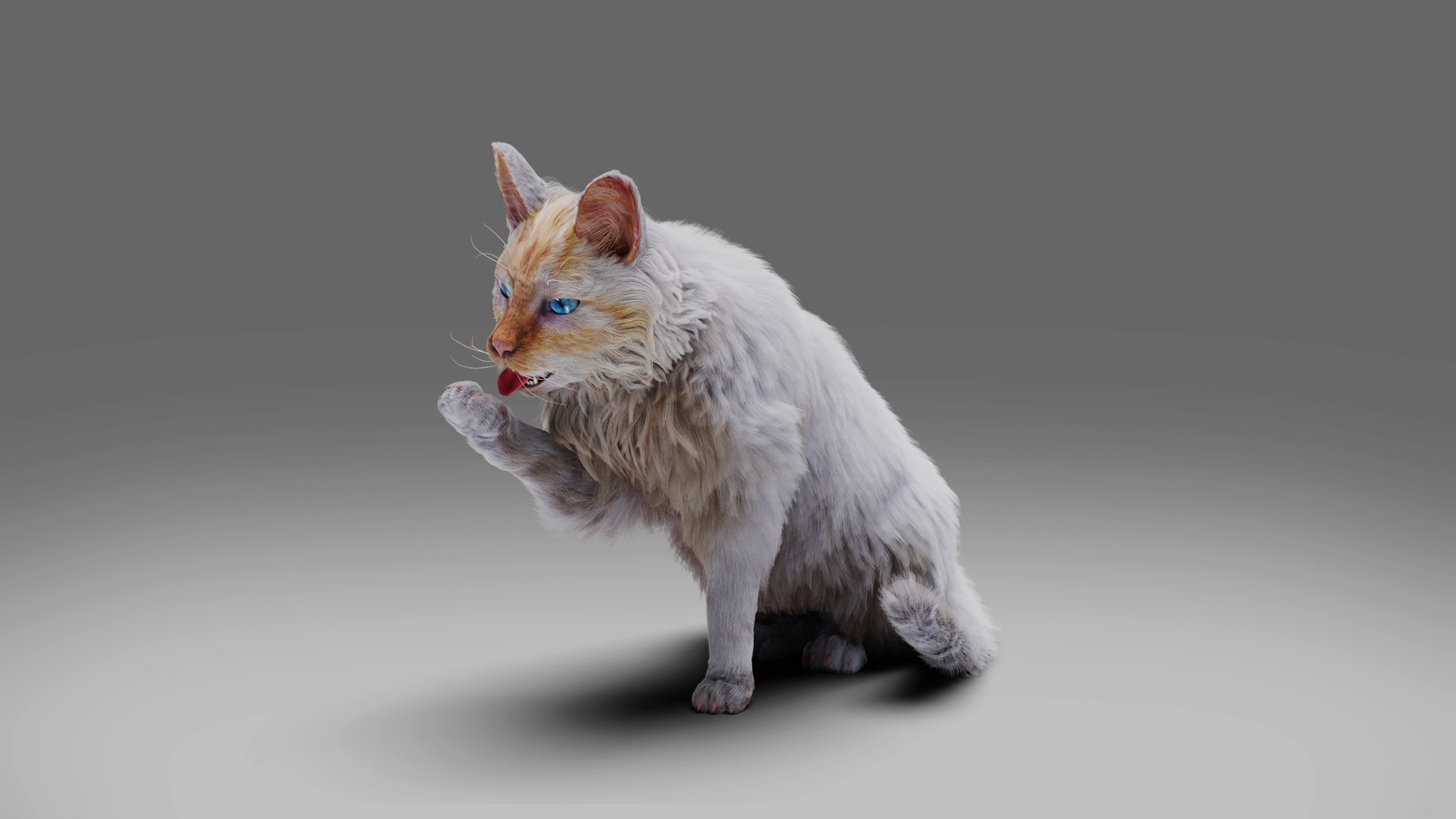 3D Fur Cat White Rigged and Animated https://p.turbosquid.com/ts-thumb/x1/WKXFUy/bK/01/jpg/1667307302/1920x1080/fit_q87/872b69903988e06758f35754b2ac9a19eecbcbec/01.jpg