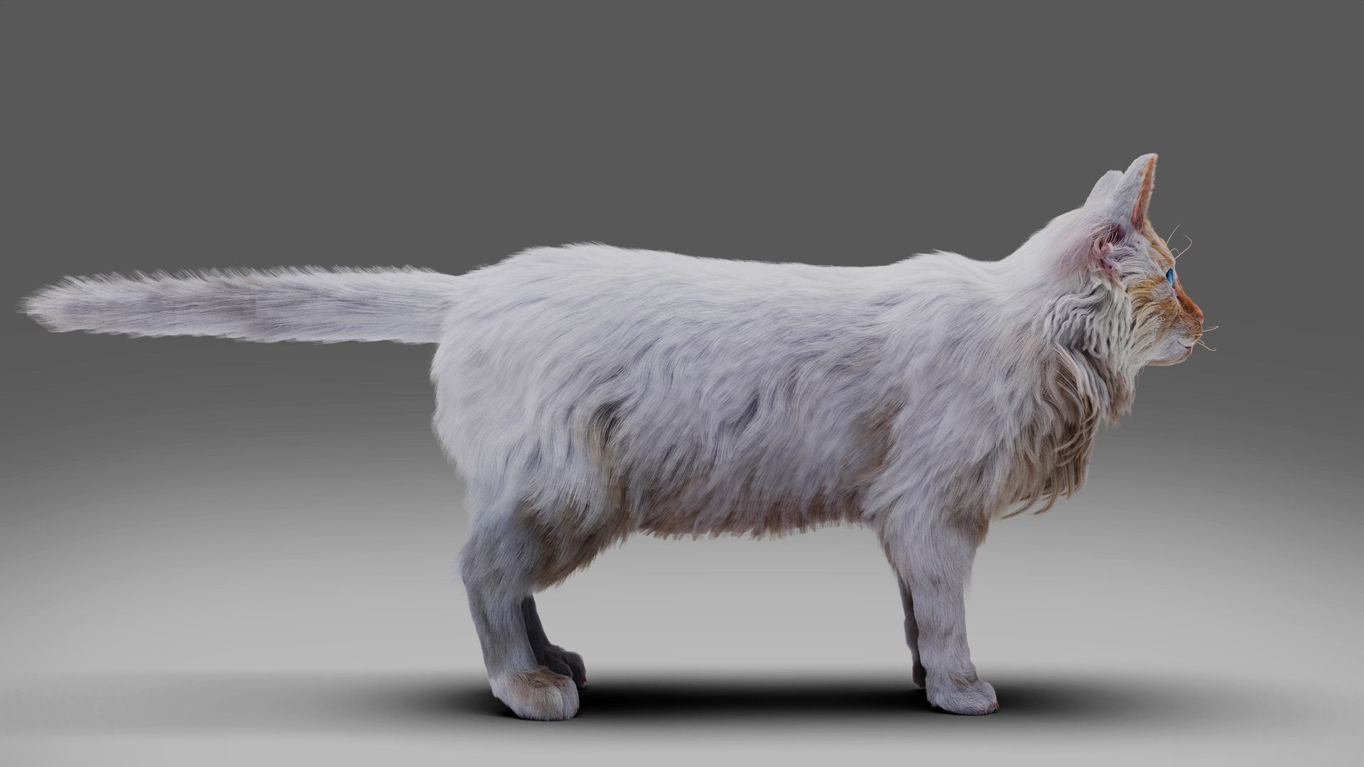 3D Fur Cat White Rigged and Animated https://p.turbosquid.com/ts-thumb/x1/WKXFUy/tG/04/jpg/1667307305/1920x1080/fit_q87/9c397e3b6b1d91e9581e72e580a78559fa60ce27/04.jpg
