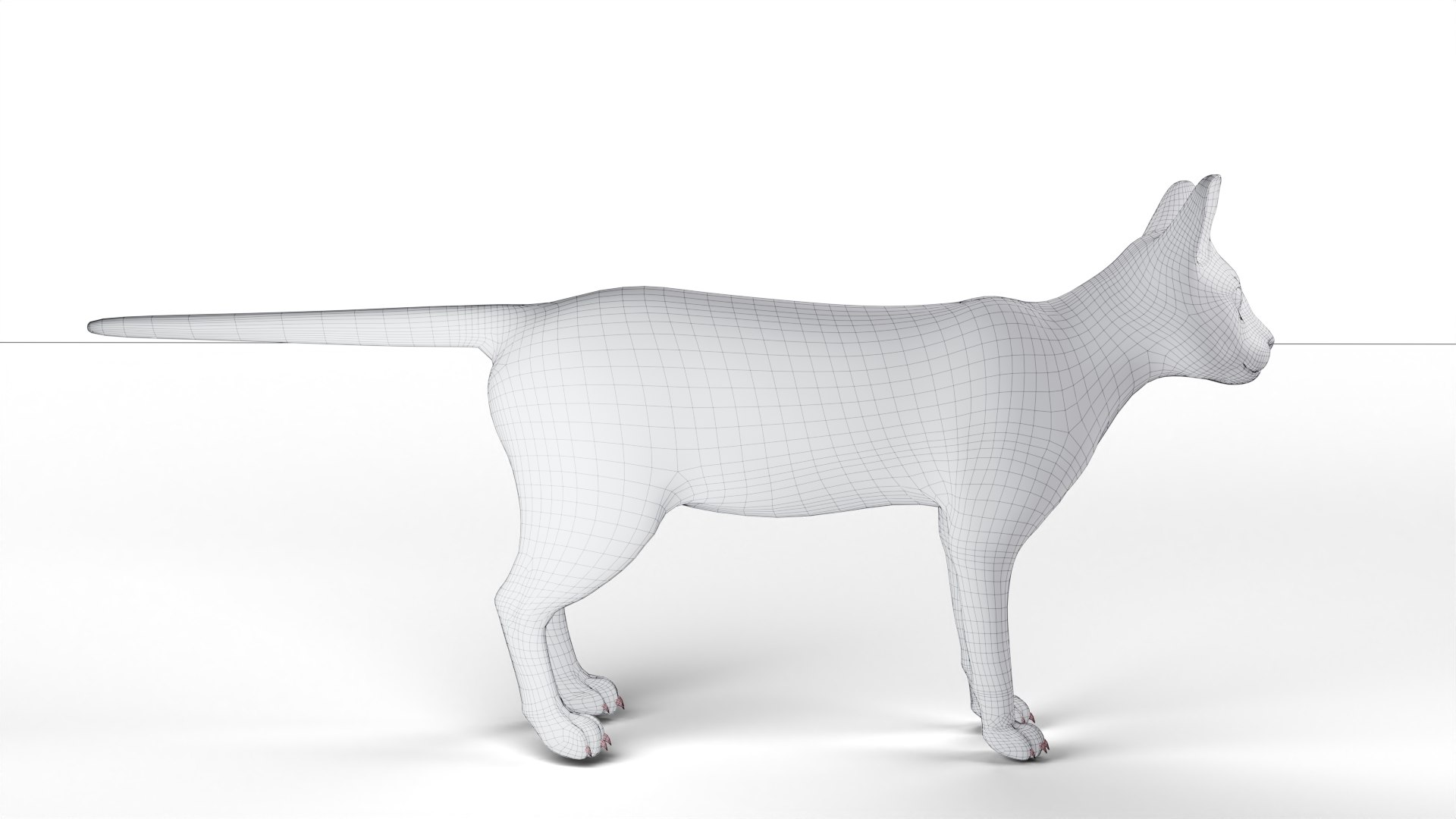 3D Fur Cat White Rigged and Animated https://p.turbosquid.com/ts-thumb/x1/WKXFUy/zu/wire/png/1667307321/1920x1080/fit_q87/d7522b426aff2fdbd3c2a3087cf9501f32ae70d8/wire.jpg