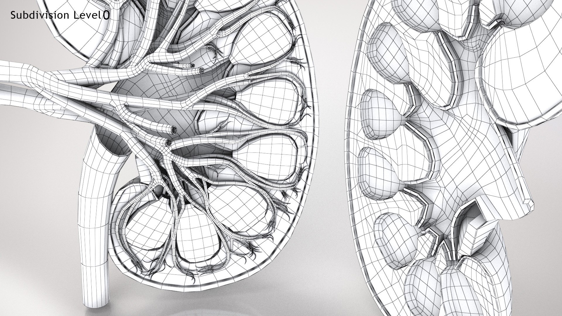 kidney pbr 8k model https://p.turbosquid.com/ts-thumb/x1/WguYeY/AszJPayc/kidneywirezero0005copy/jpg/1575016197/1920x1080/fit_q87/3d7051c138d57168f8e141eb2c6d1e37a9e84c45/kidneywirezero0005copy.jpg