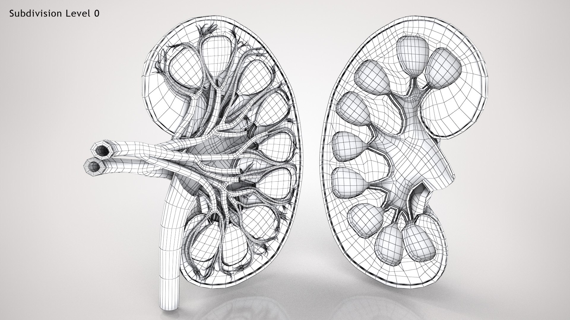 kidney pbr 8k model https://p.turbosquid.com/ts-thumb/x1/WguYeY/QA7zzTh8/kidneywirezero0001copy/jpg/1575016196/1920x1080/fit_q87/377d906147f06572459754f4b3e3164ed90a6470/kidneywirezero0001copy.jpg