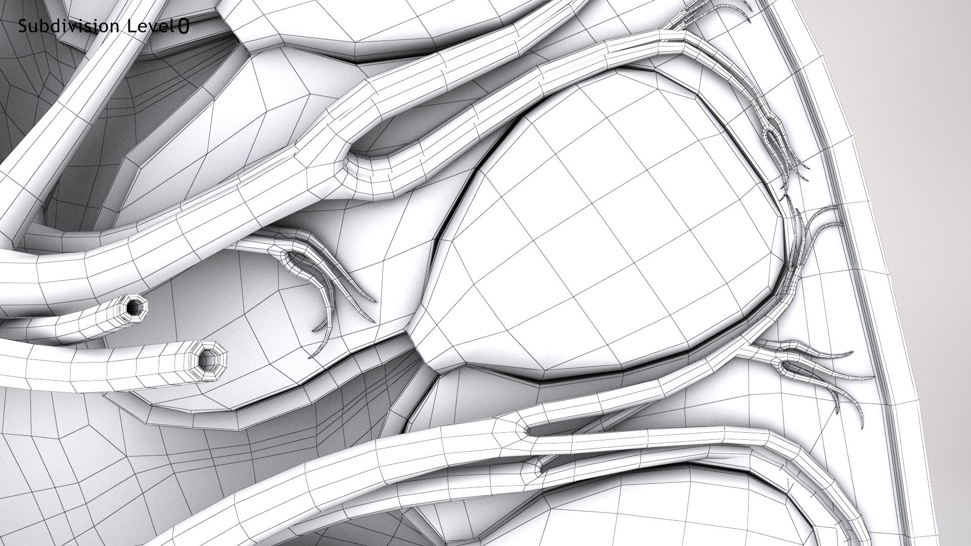 kidney pbr 8k model https://p.turbosquid.com/ts-thumb/x1/WguYeY/avCLu6LU/kidneywirezero0006copy/jpg/1575016197/1920x1080/fit_q87/2fce737308cd818aa1b5c23fc136d3e32011c365/kidneywirezero0006copy.jpg