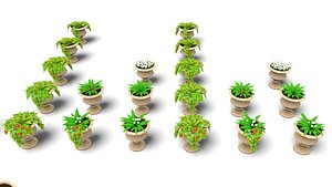Low-poly stylized plants pack model