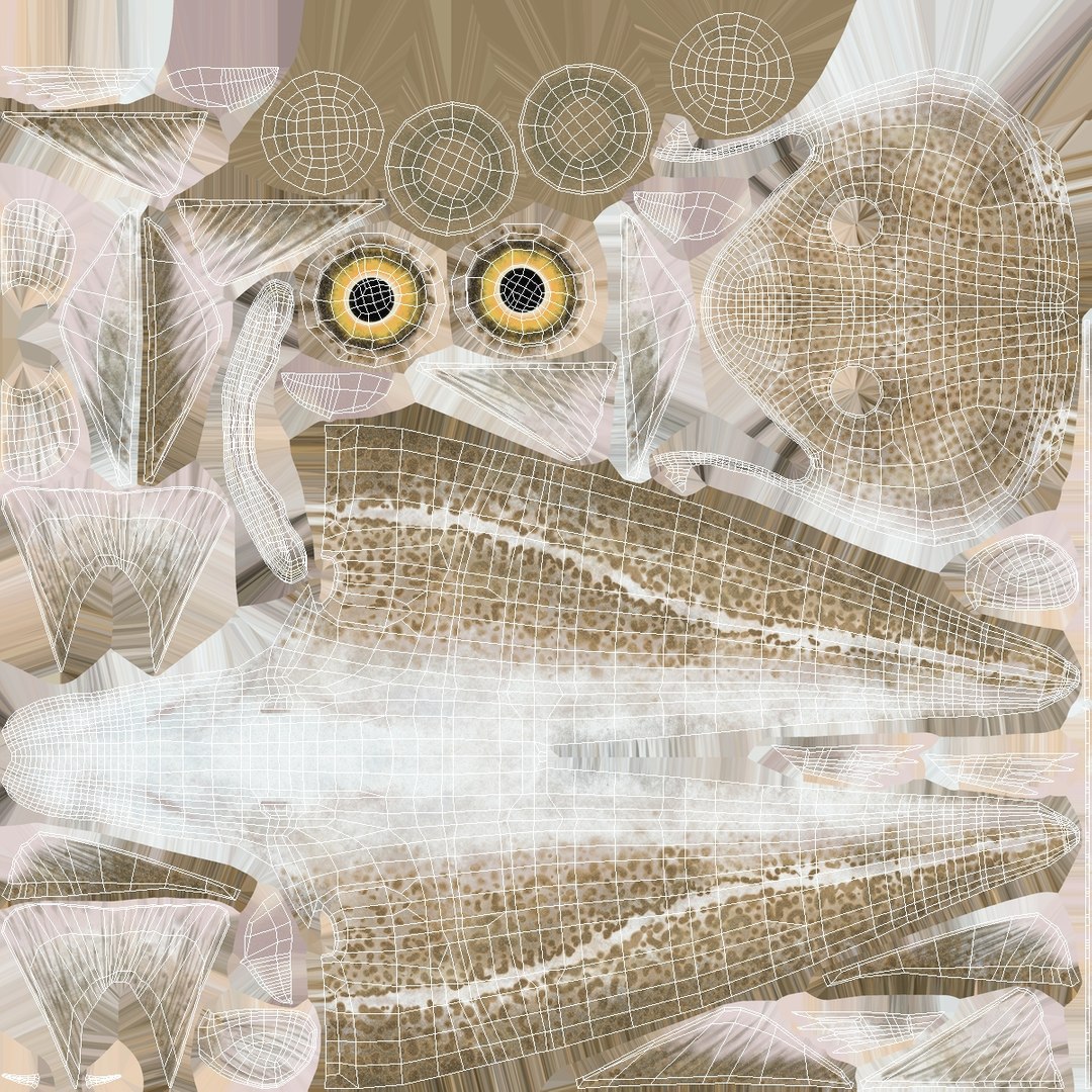 3D Cod on Fish Cleaning Board with Tail Clamp https://p.turbosquid.com/ts-thumb/x1/ek9yD5/di/cod_on_fish_cleaning_board_with_tail_clamp_012/jpg/1763673303/1920x1080/fit_q87/3041d590b7af553f2651646b568d6444e186b16a/cod_on_fish_cleaning_board_with_tail_clamp_012.jpg