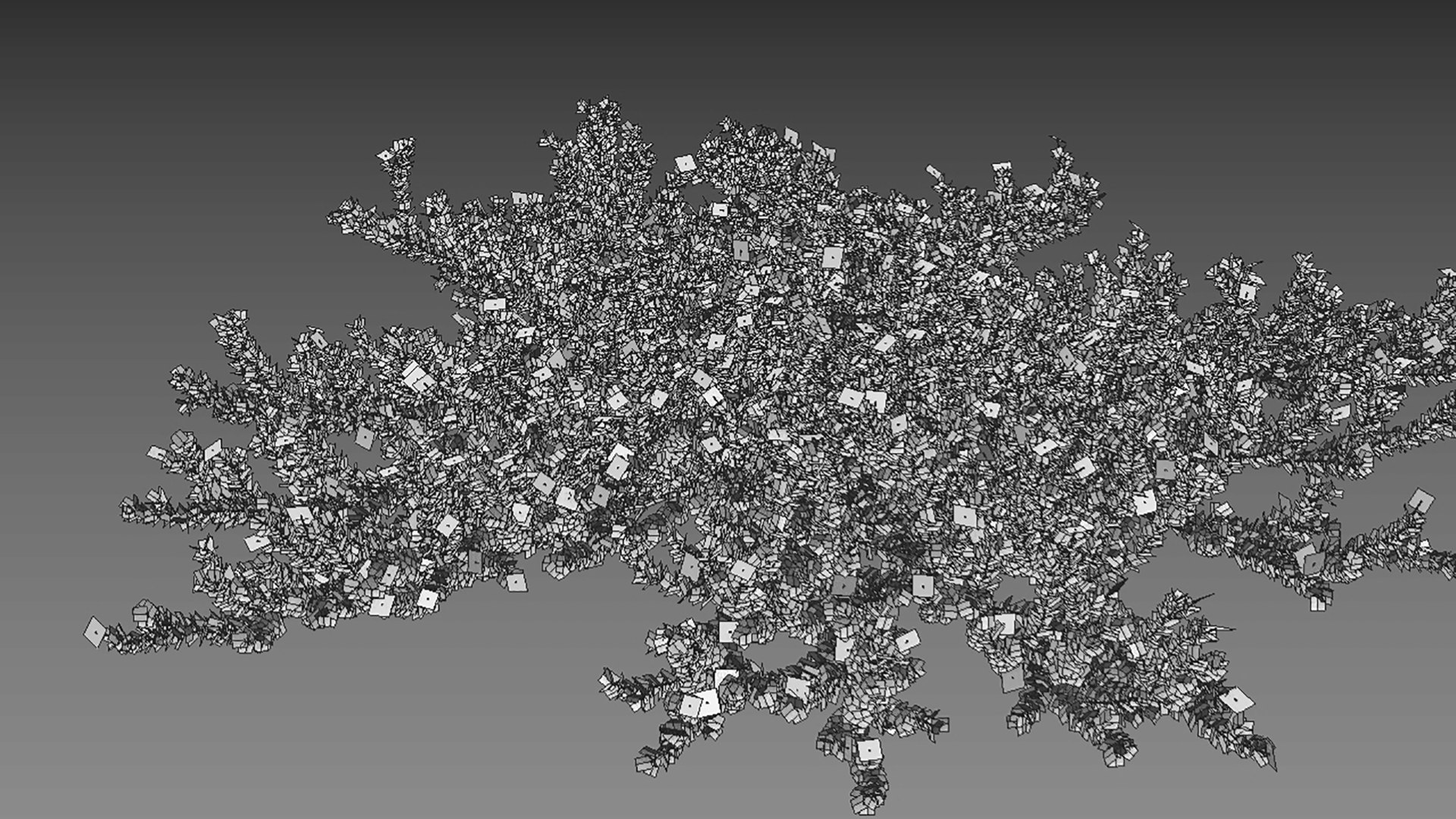 3D Carissa Macrocarpa 01 - TurboSquid 1782862