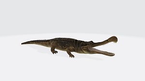Sarcosuchus 3D Model Ready to Print model
