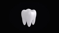 Human Tooth