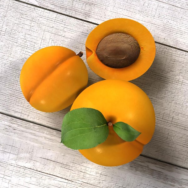 3d model scene apricots