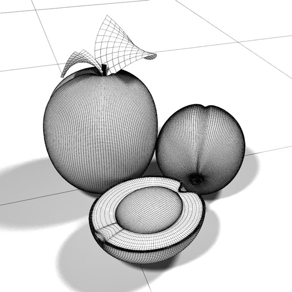 3d model scene apricots