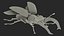 insects big rigged 4 3D model