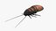 insects big rigged 4 3D model