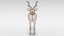 3D greater kudu antelope
