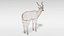 3D greater kudu antelope