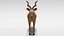 3D greater kudu antelope