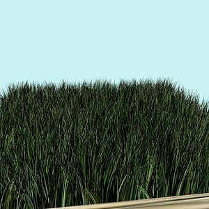 3D model grass flower