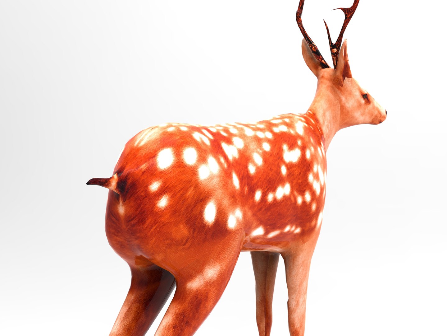 3d Model Deer Rigged