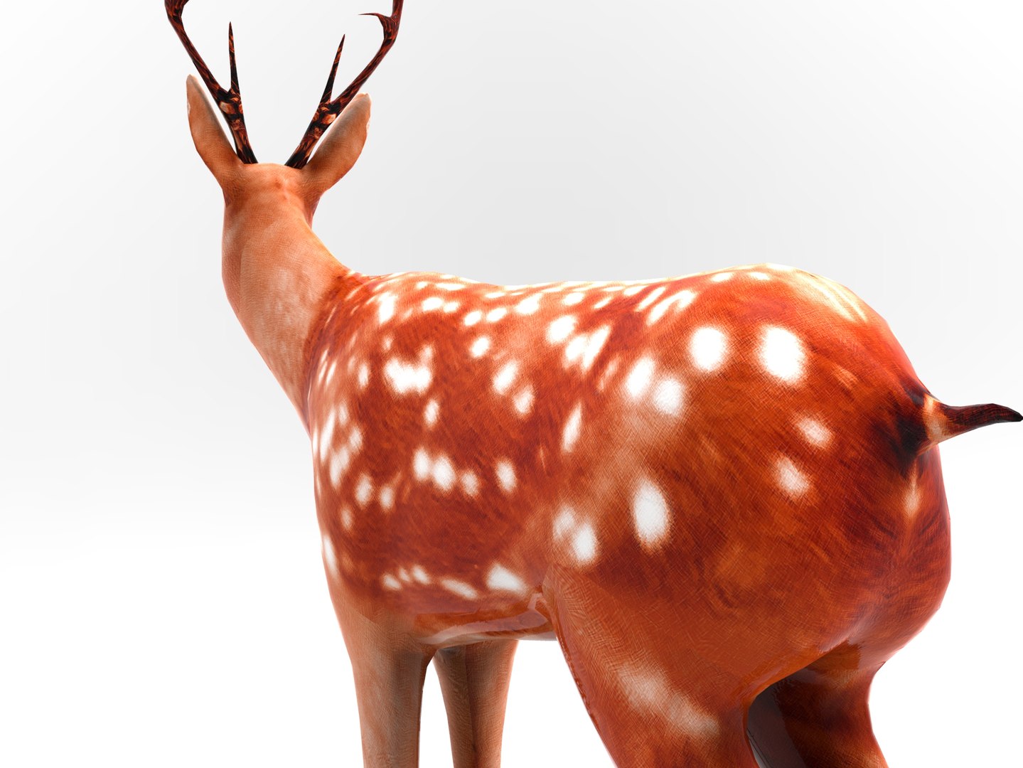 3d Model Deer Rigged