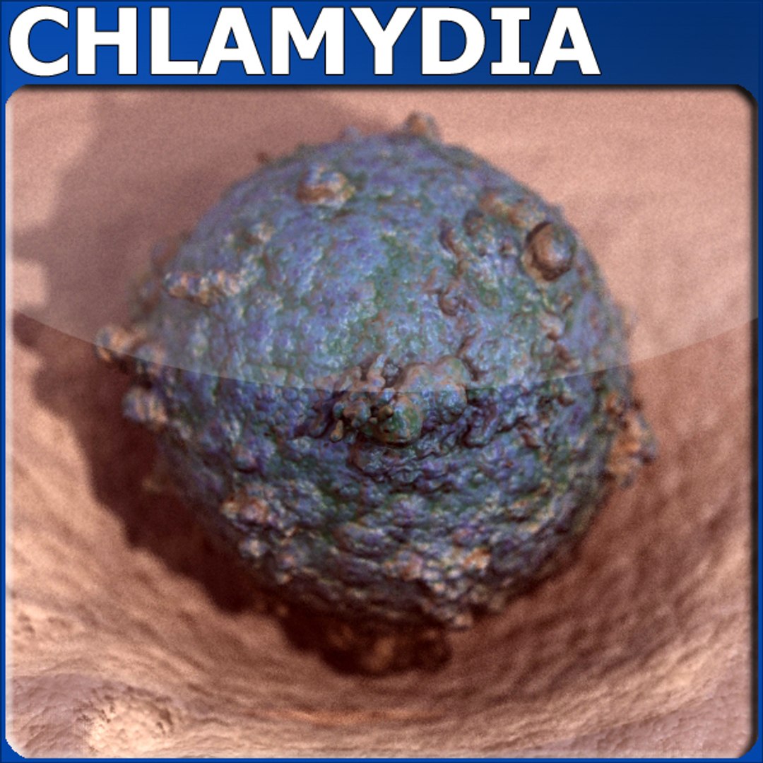 3d Model Chlamydia Bacteria Humans