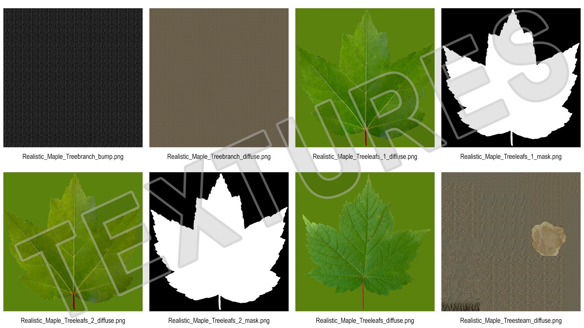 3D Realistic Maple Tree https://p.turbosquid.com/ts-thumb/x2/Zyv87k/Ag/realisticmapletreemb3dmodel025/jpg/1708574754/1920x1080/fit_q87/1fbf45860de13cfb83b0c3bee2a282f0711fcff1/realisticmapletreemb3dmodel025.jpg