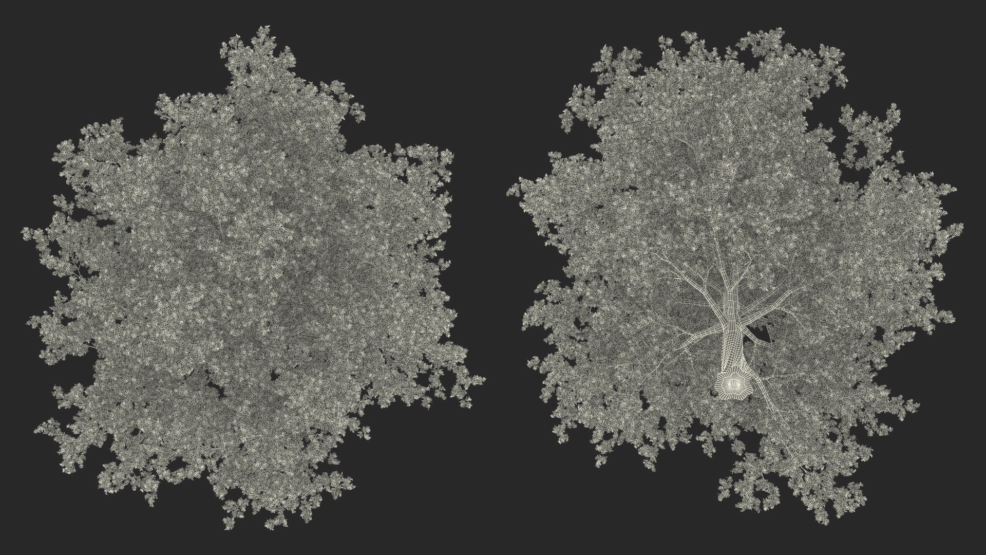 3D Realistic Maple Tree https://p.turbosquid.com/ts-thumb/x2/Zyv87k/fJ/realisticmapletreemb3dmodel032/jpg/1708574784/1920x1080/fit_q87/7673569da9a5f046186dc3052d3de4d461e0094e/realisticmapletreemb3dmodel032.jpg